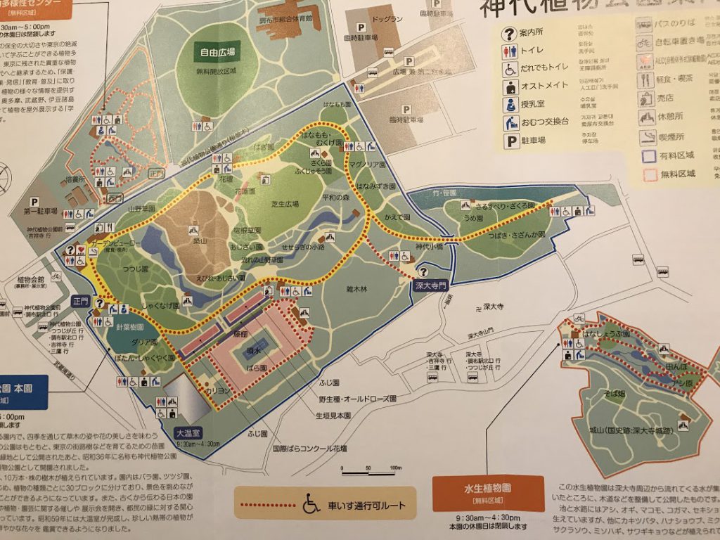 神代植物公園　地図　マップ