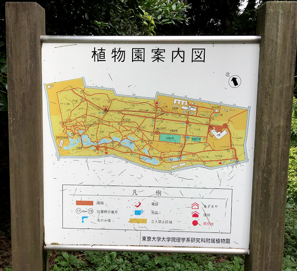 小石川植物園　案内図