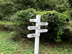 小石川植物園　案内標識