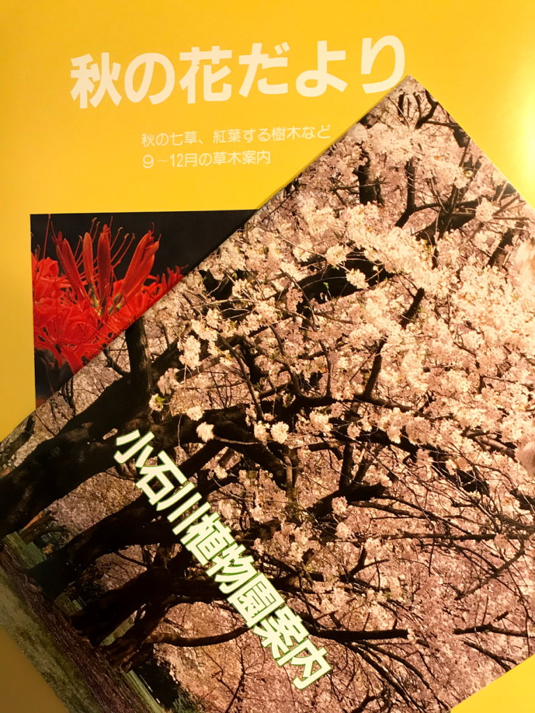 小石川植物園　パンフレット