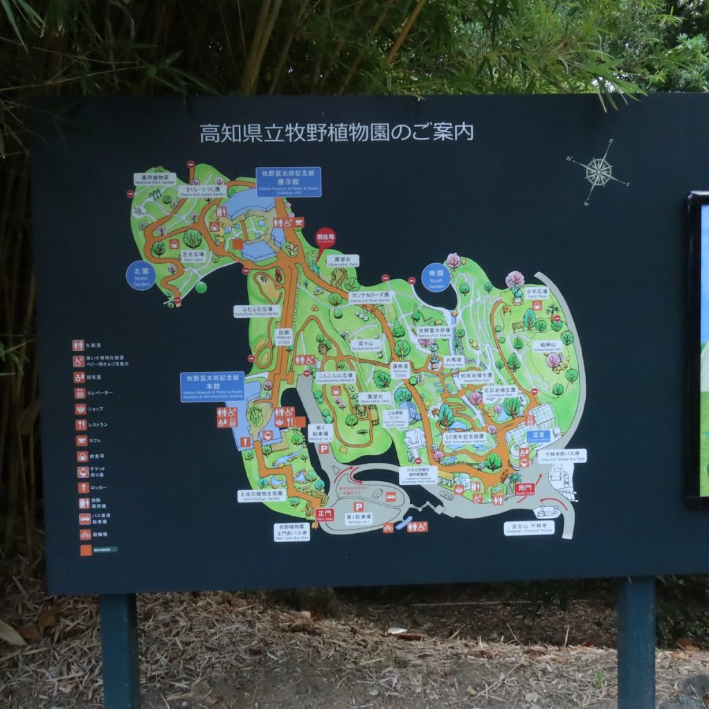 高知県立牧野植物園地図