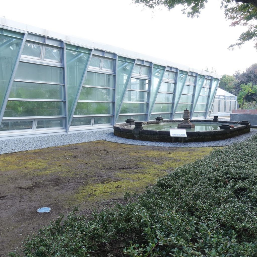 小石川植物園の温室の前の池